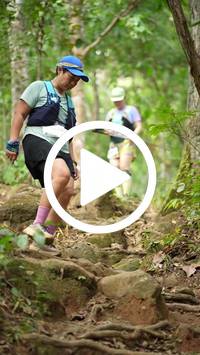 BIB:  <button type="button" onclick="openModal(27587757)" class="btn btn-primary btn-sm float-right" data-toggle="modal" data-target=".modal-high-quality">
                <i class="fa fa-download"></i> Download
                </button>